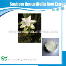 Bitterer Sophora Wurzel Extrakt / Oxymatrin 98% Matrine 98%